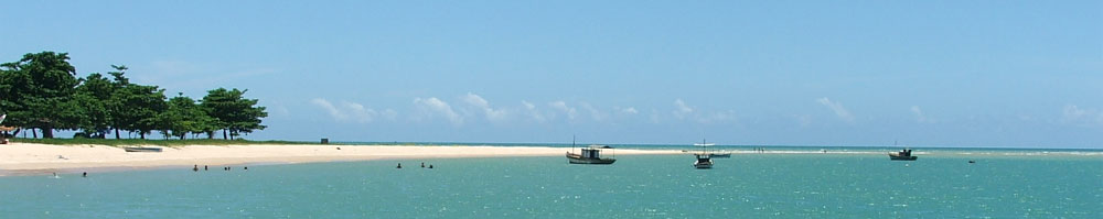 Bild Strand